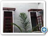 Canopy 10