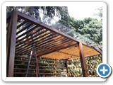 Canopy Galle